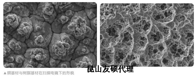 江西蔡司江西扫描电镜